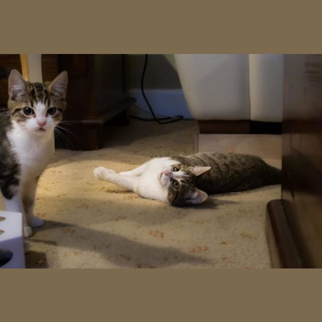 Photo of Faith &  Moxie