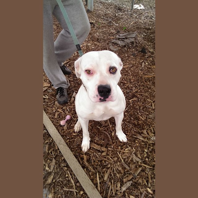 Photo of Chief Id: 29881