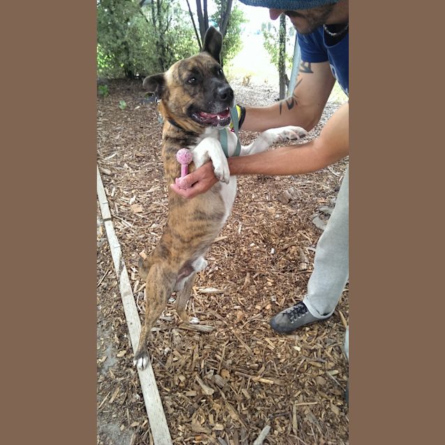 Photo of Bruce Id: 30351