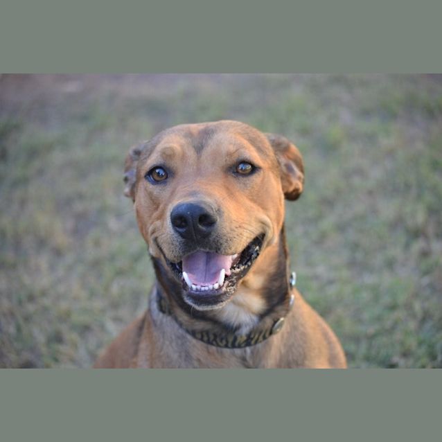 Photo of Cooper