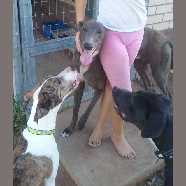 Photo of Lightning Jack