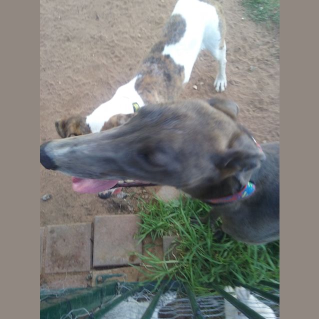 Photo of Lightning Jack