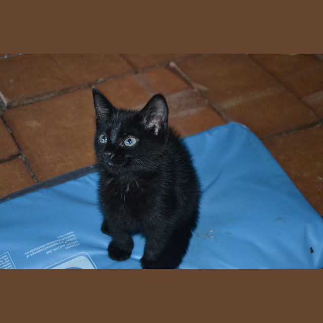 Photo of Libby & Katie