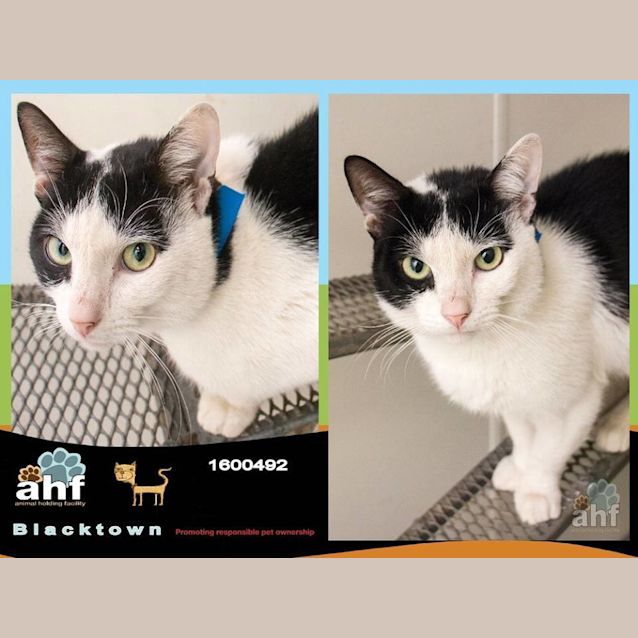 Photo of Alakol (0492)