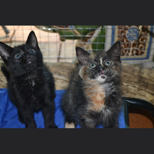 Photo of Libby & Katie