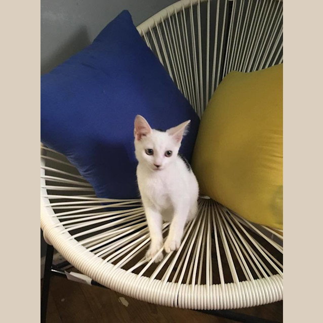 Photo of *Grace Kelly* A Princess In The Making!