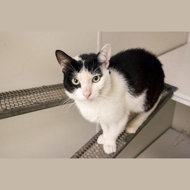 Photo of Alakol (0492)