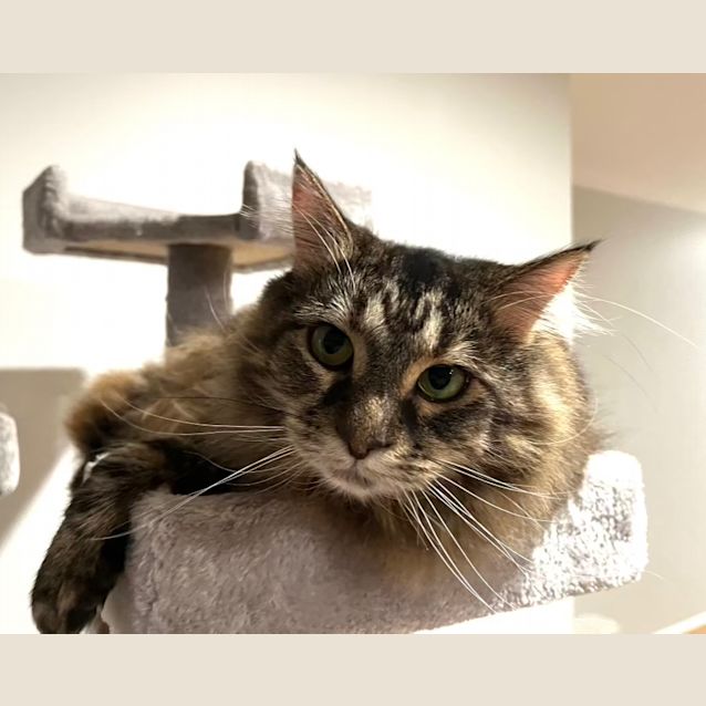 Photo of Narla