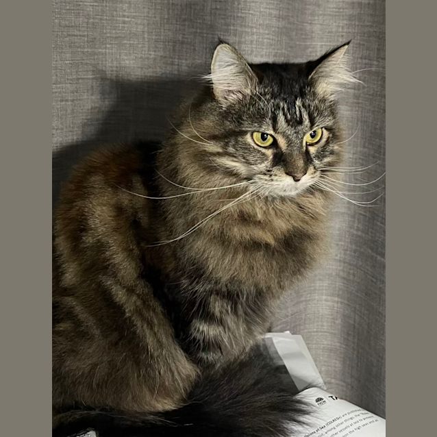 Photo of Narla