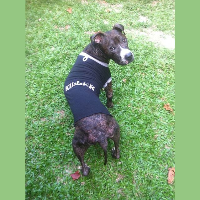 Photo of Tess