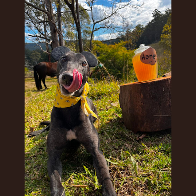 Photo of Ted E. Bear