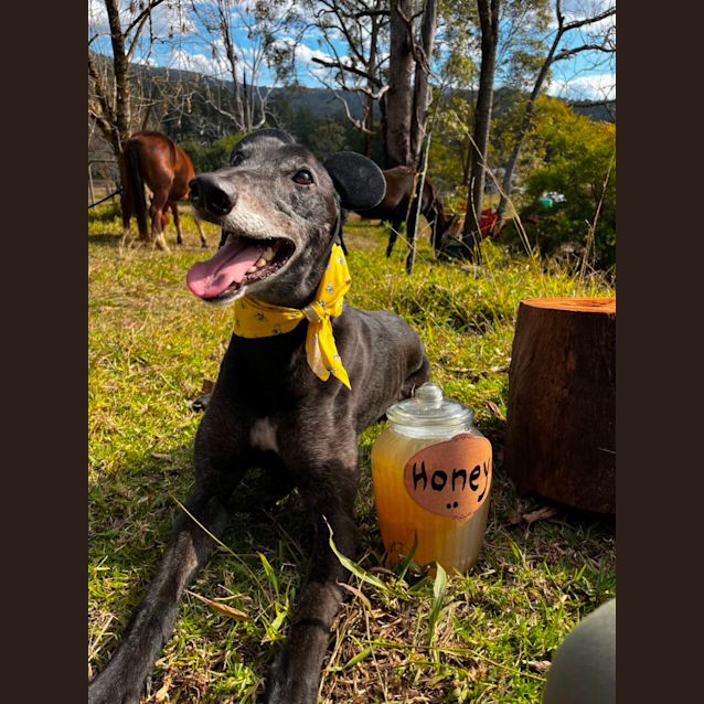 Photo of Ted E. Bear