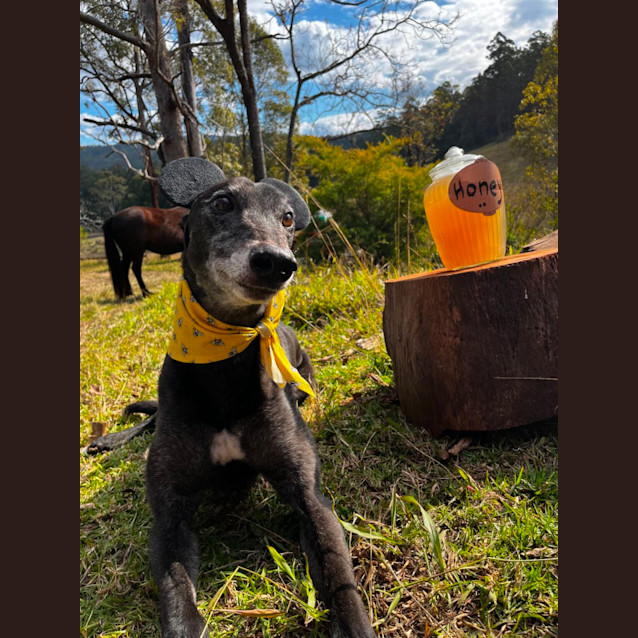 Photo of Ted E. Bear