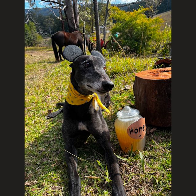 Photo of Ted E. Bear