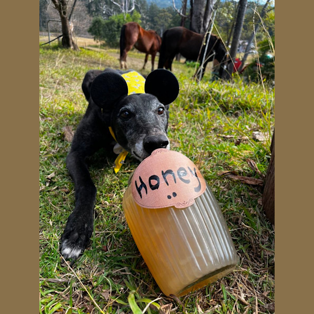 Photo of Ted E. Bear