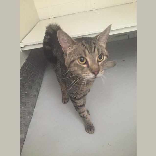 Photo of Orivesi (0195)