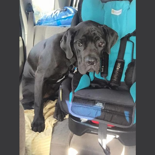 Photo of Bruce