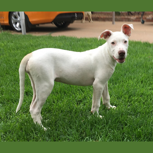 Photo of Snow *On Trial In Her New Home*