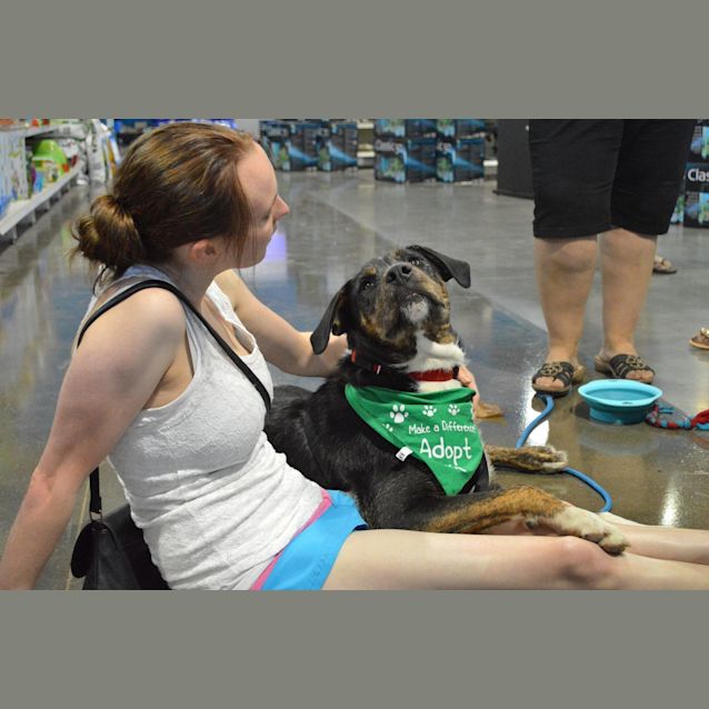 Photo of Max Free To Good Home