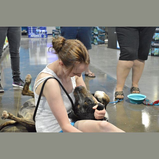 Photo of Max Free To Good Home