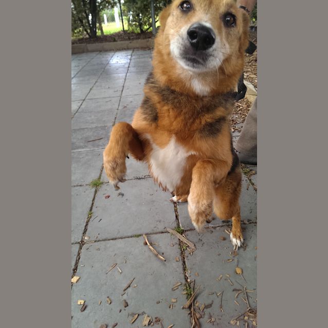 Photo of Rani Id: 17058