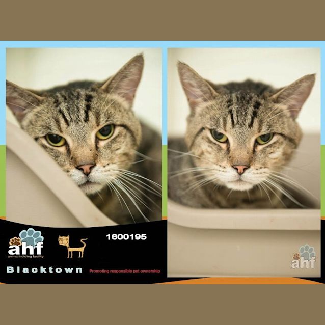 Photo of Orivesi (0195)