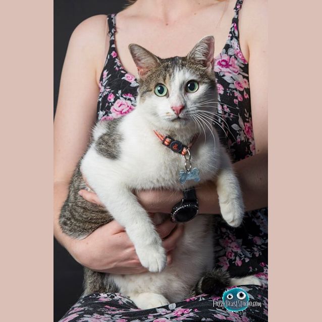 Photo of Mindy
