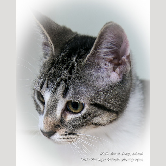 Photo of Glinda