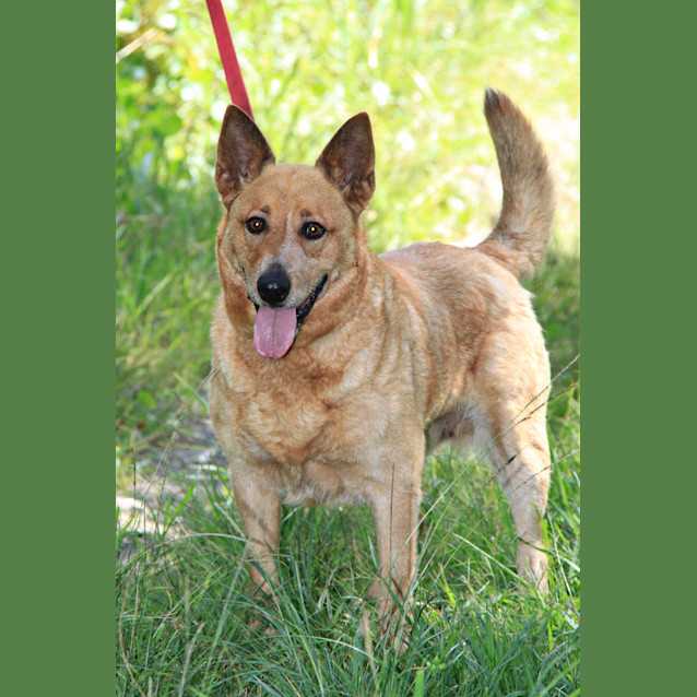 Photo of Dottie