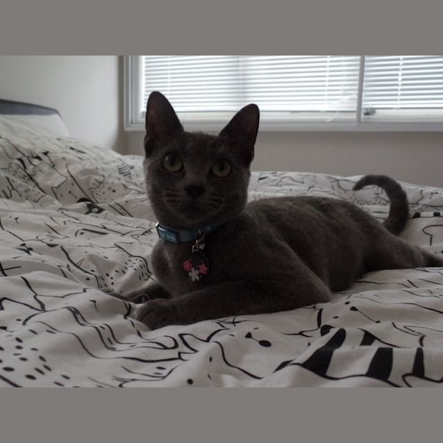 Photo of Ellie *$100 Only!*