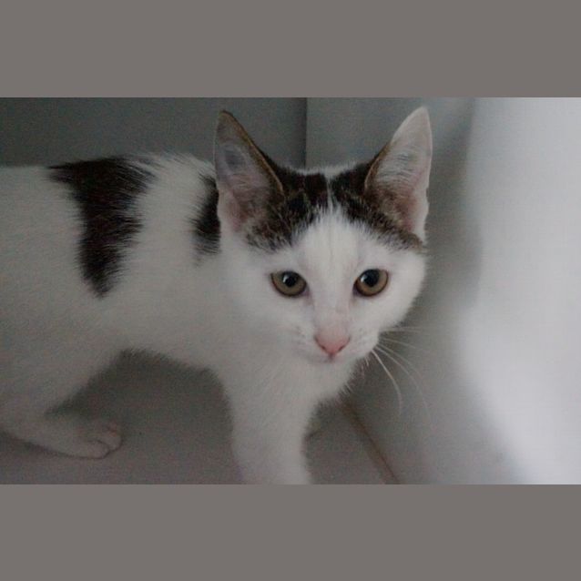 Photo of Nadia