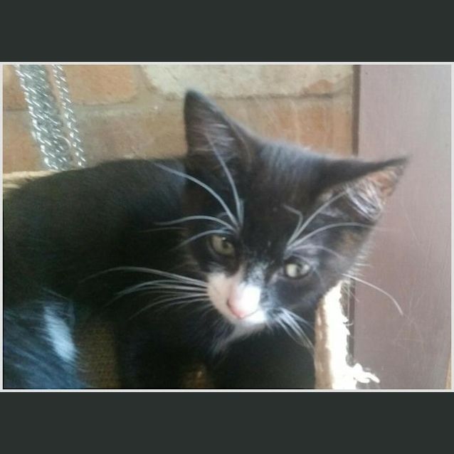 Photo of Shilo