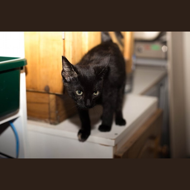 Photo of Bess