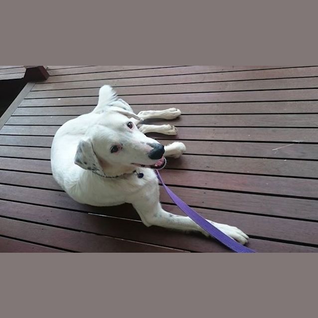 Photo of Phantom 