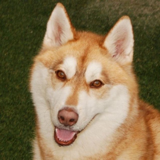 Photo of Sophie