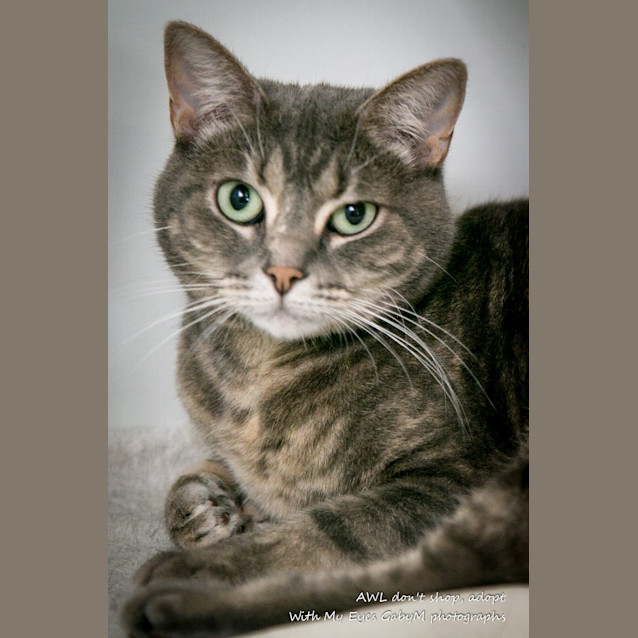 Photo of Salsa