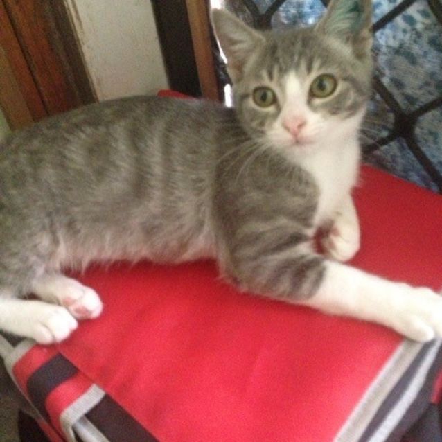 Photo of Angelica