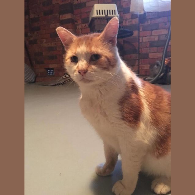 Photo of Butch And Teddy