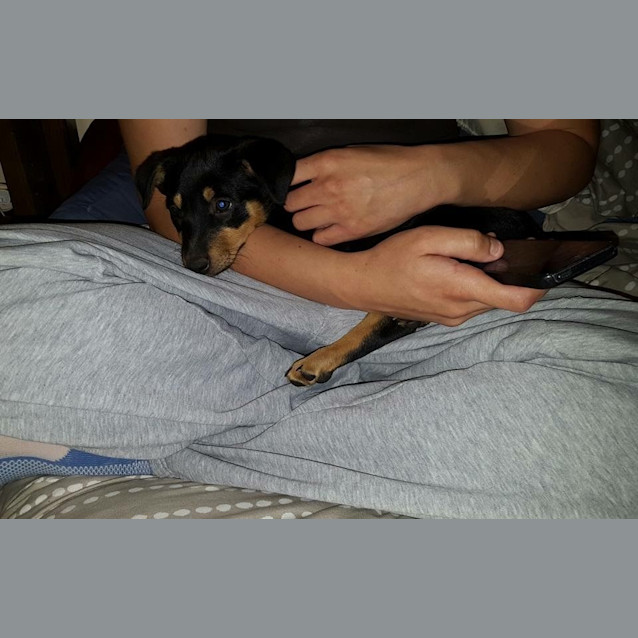 Photo of Roxy 