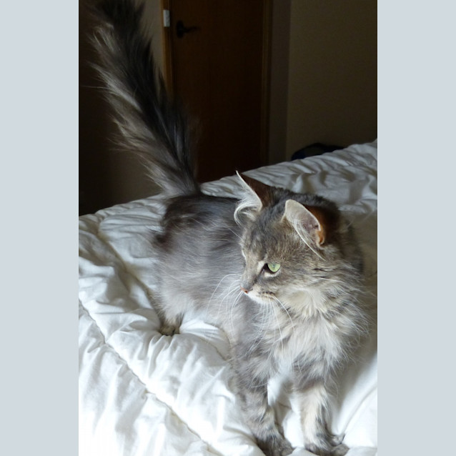Photo of Lexi 