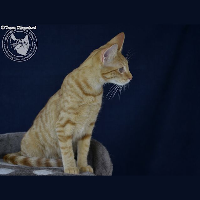 Photo of Freda