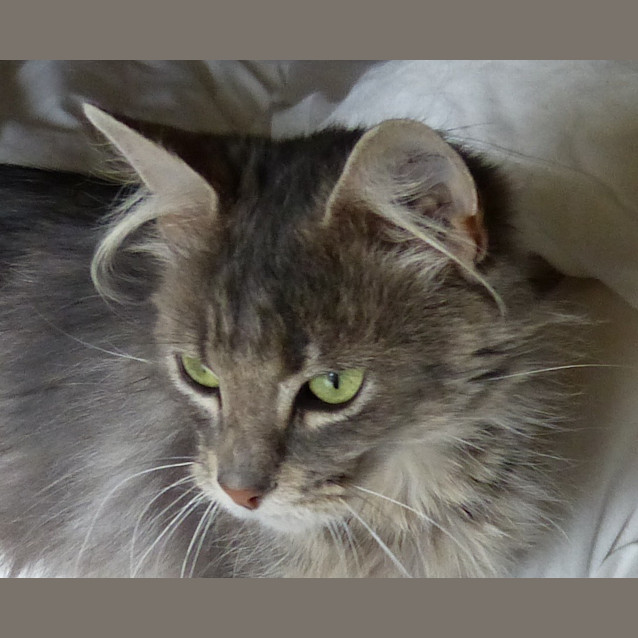 Photo of Lexi 