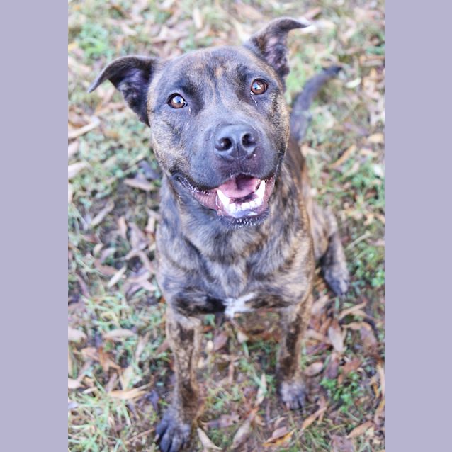 Photo of Bruce. Ref:27422