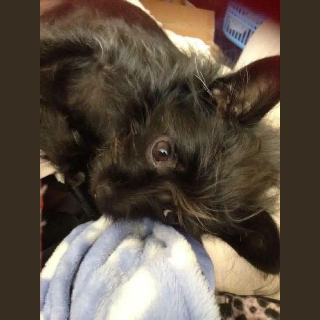 Photo of Hope (And Sheldon)