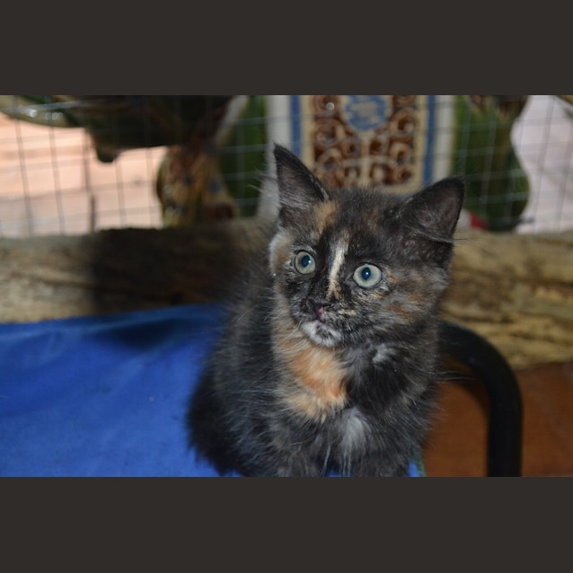 Photo of Libby & Katie