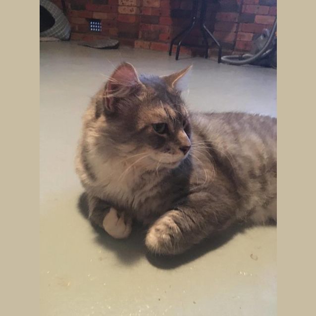 Photo of Butch And Teddy