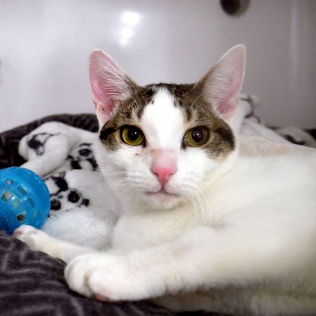 Photo of Haly Rsuk011285