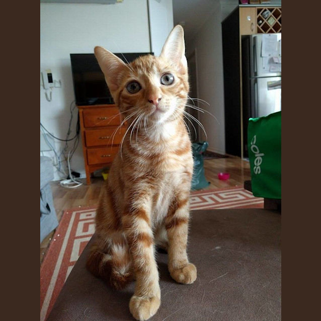 Photo of Winnie 