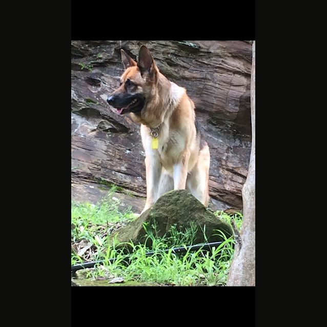 Photo of Rocky