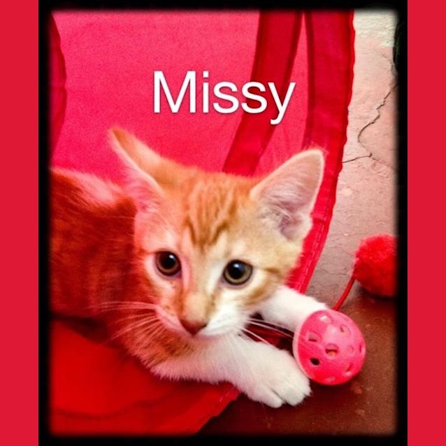 Photo of Missy